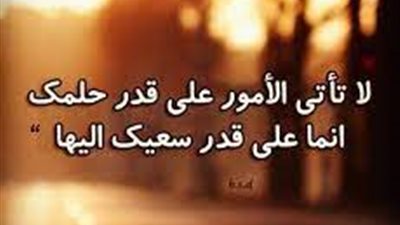أجمل ما قيل عن تحقيق الأهداف