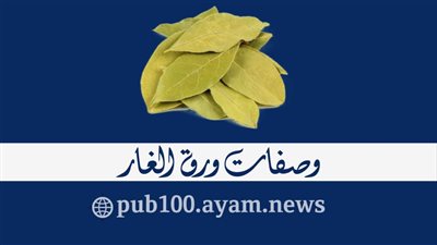  معجزة ورق الغار.. 