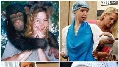القرد الشامبنزى