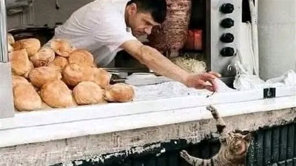 موقع أيام نيوز