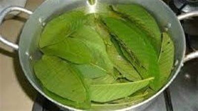 ورق الجوافة 