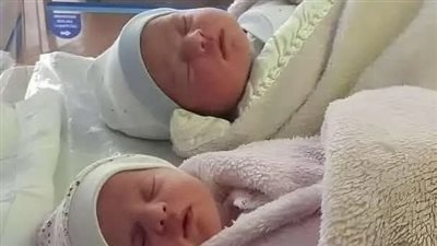 حماتي وبناتها التوأم