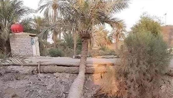 موقع أيام نيوز