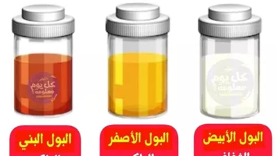 ألوان البول والبراز مع الأسباب المحتملة بطريقة مبسّطة