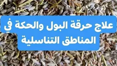 علاج البـــول