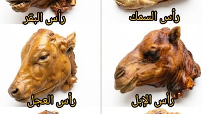 وائد صحية من رؤوس اللحوم... فوائد في الغالب لا يعرفها الكثير  فوائد تناول رأس السمك