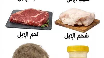 فوائد منتجات الإبل