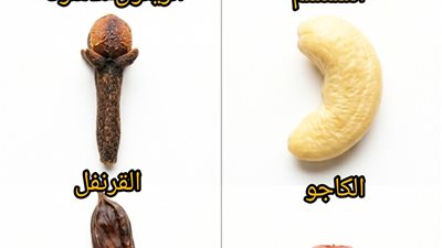 الزيتون الأسود، السمسم، القرنفل، الكاجو، الخروب، والنبق