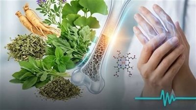 8 أعشاب تمنع نقص فتامين B12 الذي يؤدي إلى هشاشة العضام وتنميل اليدين والقدمين وصعوبة المشي