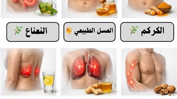 موقع أيام نيوز