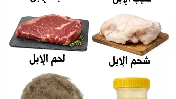 موقع أيام نيوز